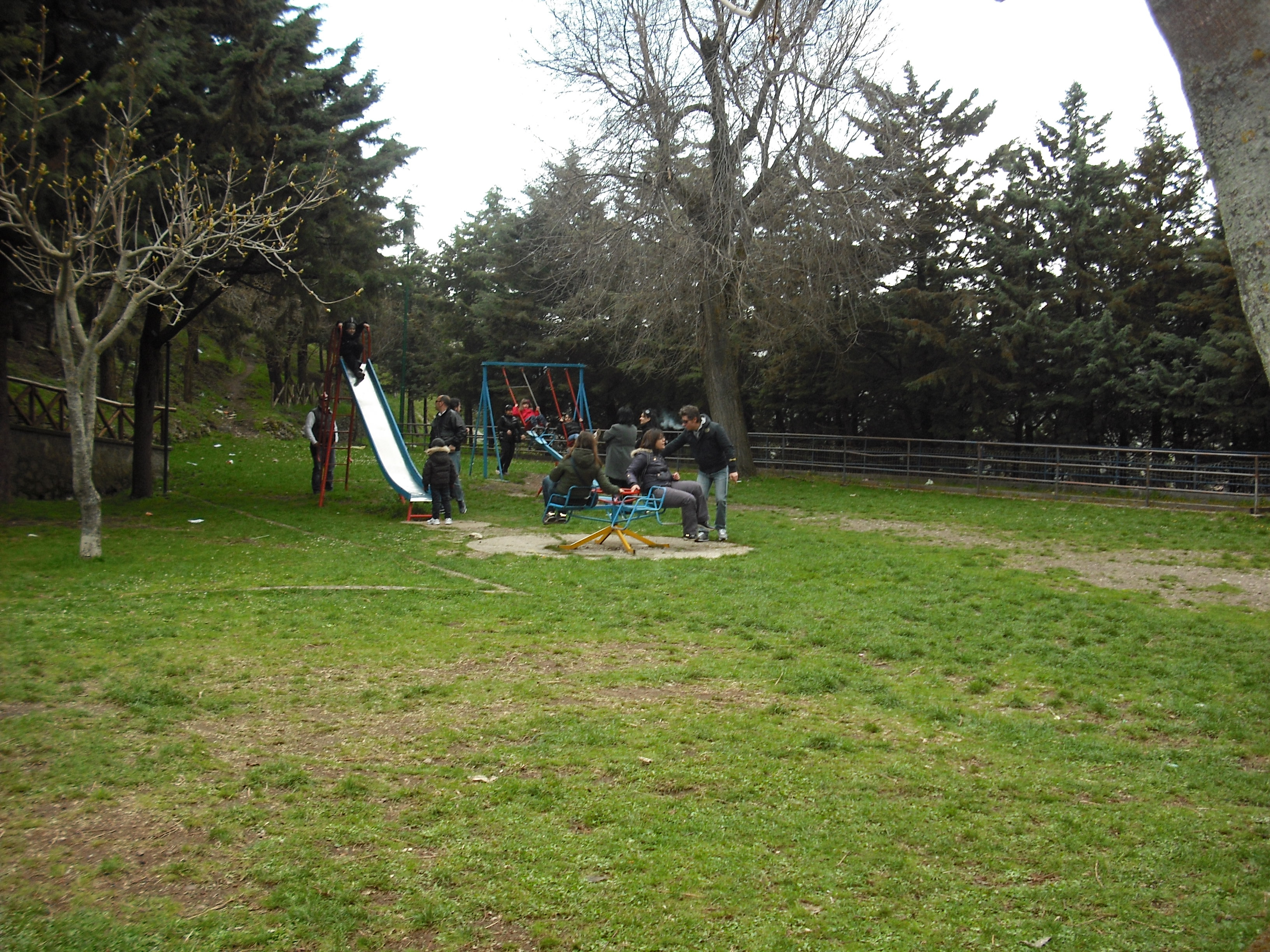 DSCF1270.JPG